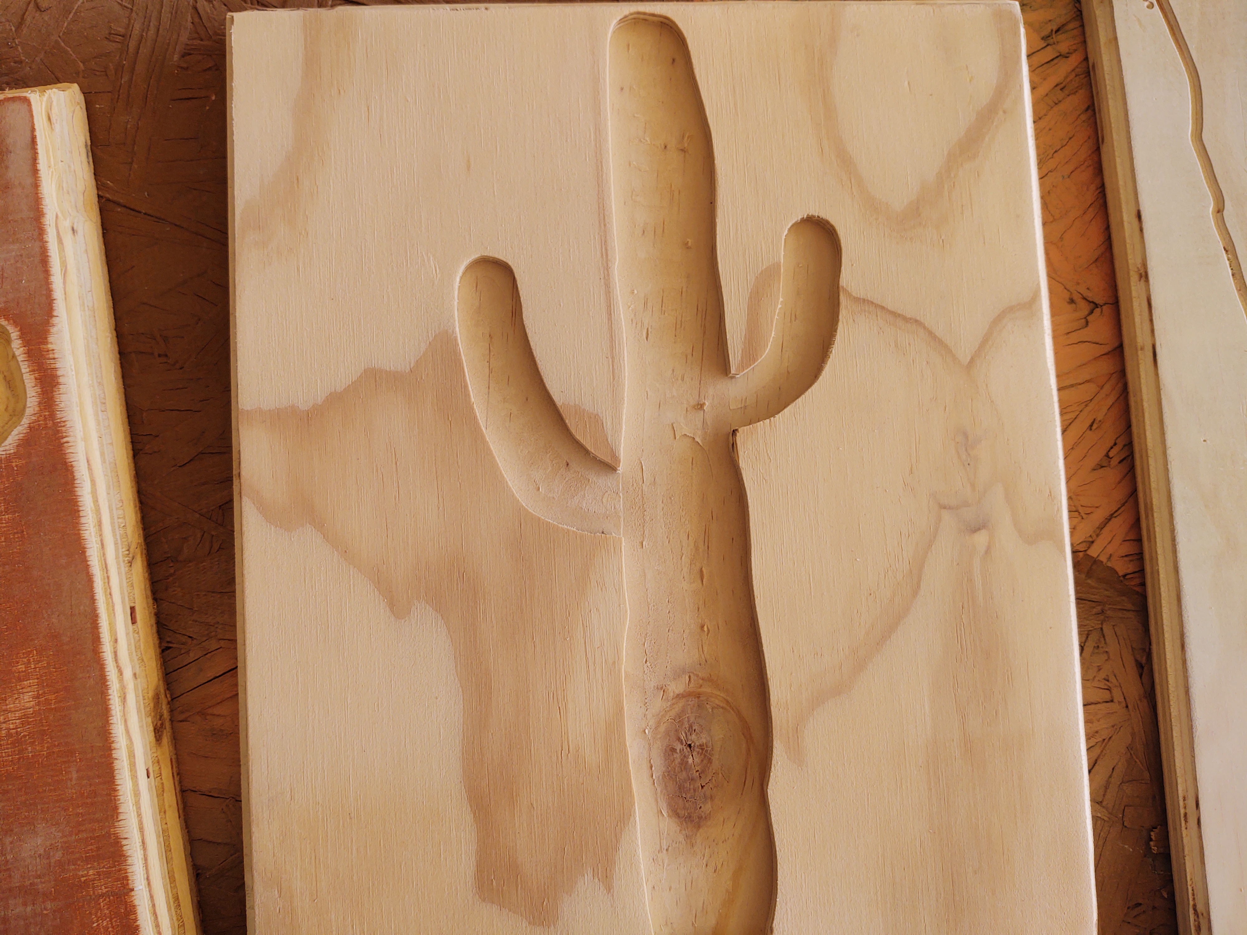 Relief carving - saguaro cactus detail